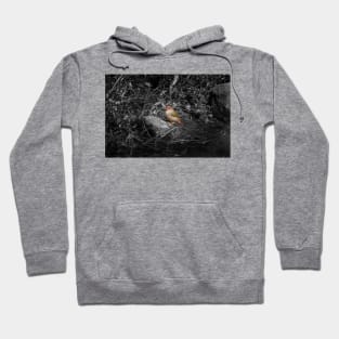 Red-browned Finch_10499A Hoodie